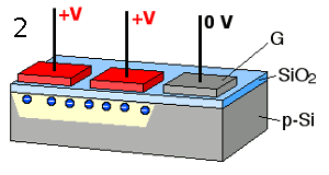 Figure caption
