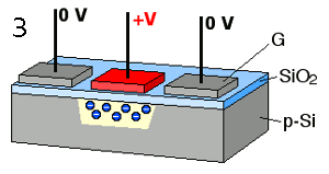 Figure caption
