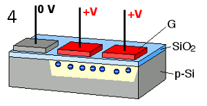 Figure caption