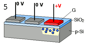 Figure caption