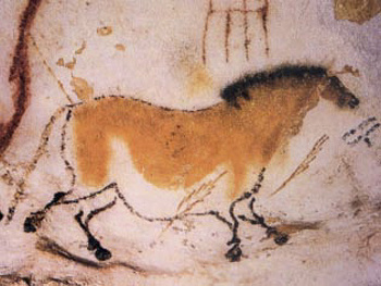 Image of a horse from the Lascaux caves