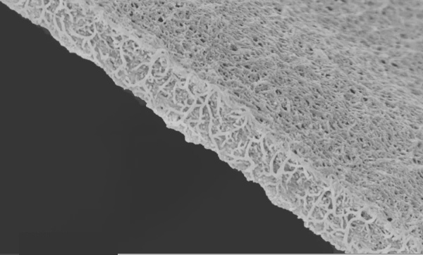 Carbon nanotube aerogel