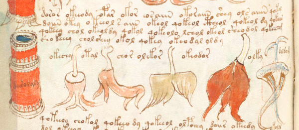 Portion of page 176 of the Voynich Manuscript