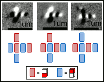 Nanomagnet majority logic gate.