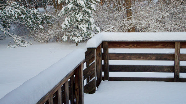 Northern New Jersey Snowfall, January 12, 2011
