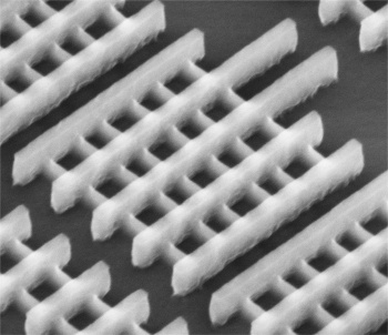Micrograph of multi-fin tri-gate FETs