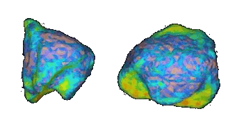 Radar maps of asteroid 6489 Golevka