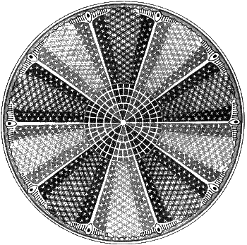 Aulacodiscus Grevilleanus (after Ernst Haeckel)