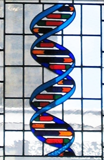 Stained glass window representation of DNA