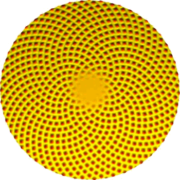Computer-generated sunflower pattern