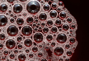 A foam of bubbles on a liquid