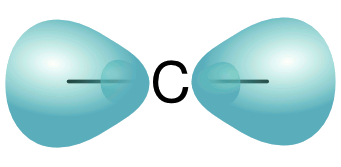 sp hybridized bonds of a carbon atom.
