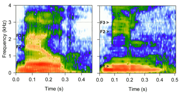 Male and female spectrograms for the word, 'mil'