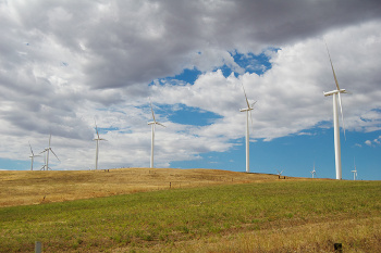 Wind Farm (Charles Barnhart, Stanford University)