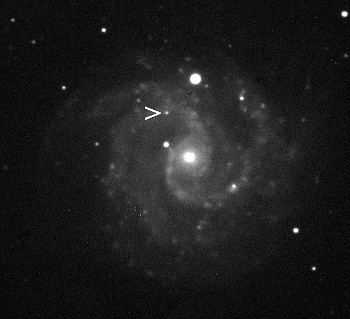 Discovery image of supernova 2010dn in NGC3184