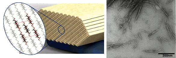 Cellulose nanocrystals