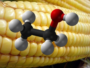 Corn with ethanol molecule