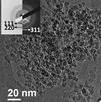 Electron microscope image of nanodiamond in mineral oil