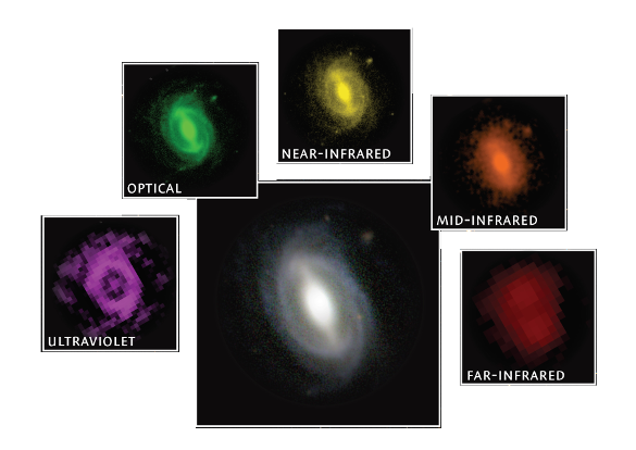 GAMA survey galaxy observed at different wavelengths