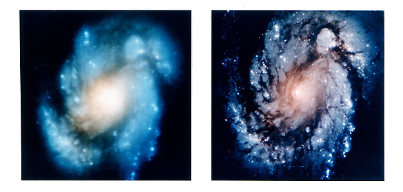 HST images of galaxy M100