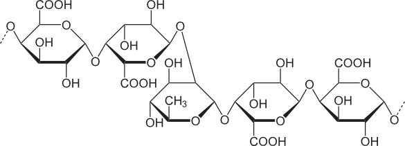 Structure of Pectin