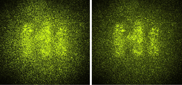 Example of Caltech anti-glare system