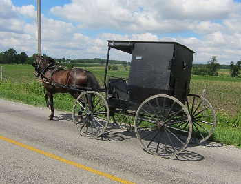 Amish Sedan (Art Anderson)