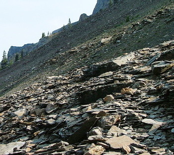 Burgess Shale Formation at Mount Stephen, British Columbia