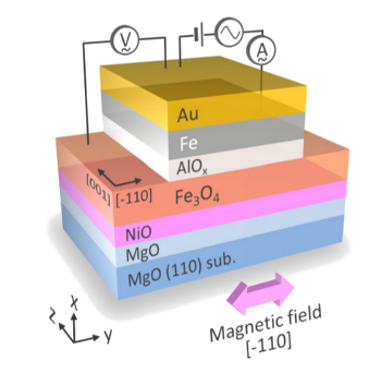 Structure of the tunneling magnetocapacitance device.