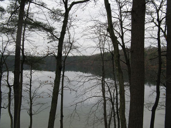 Walden Pond in November, 2009 (John Phelan)