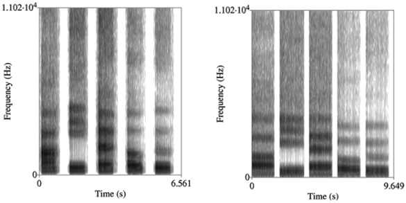 Spectrograms of vowel sounds