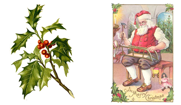 Ilex aquifolium (holly) and Santa Claus (jolly)
