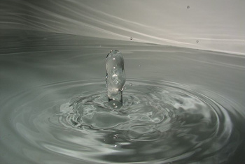 Backjet of a water droplet after impacting a water surface