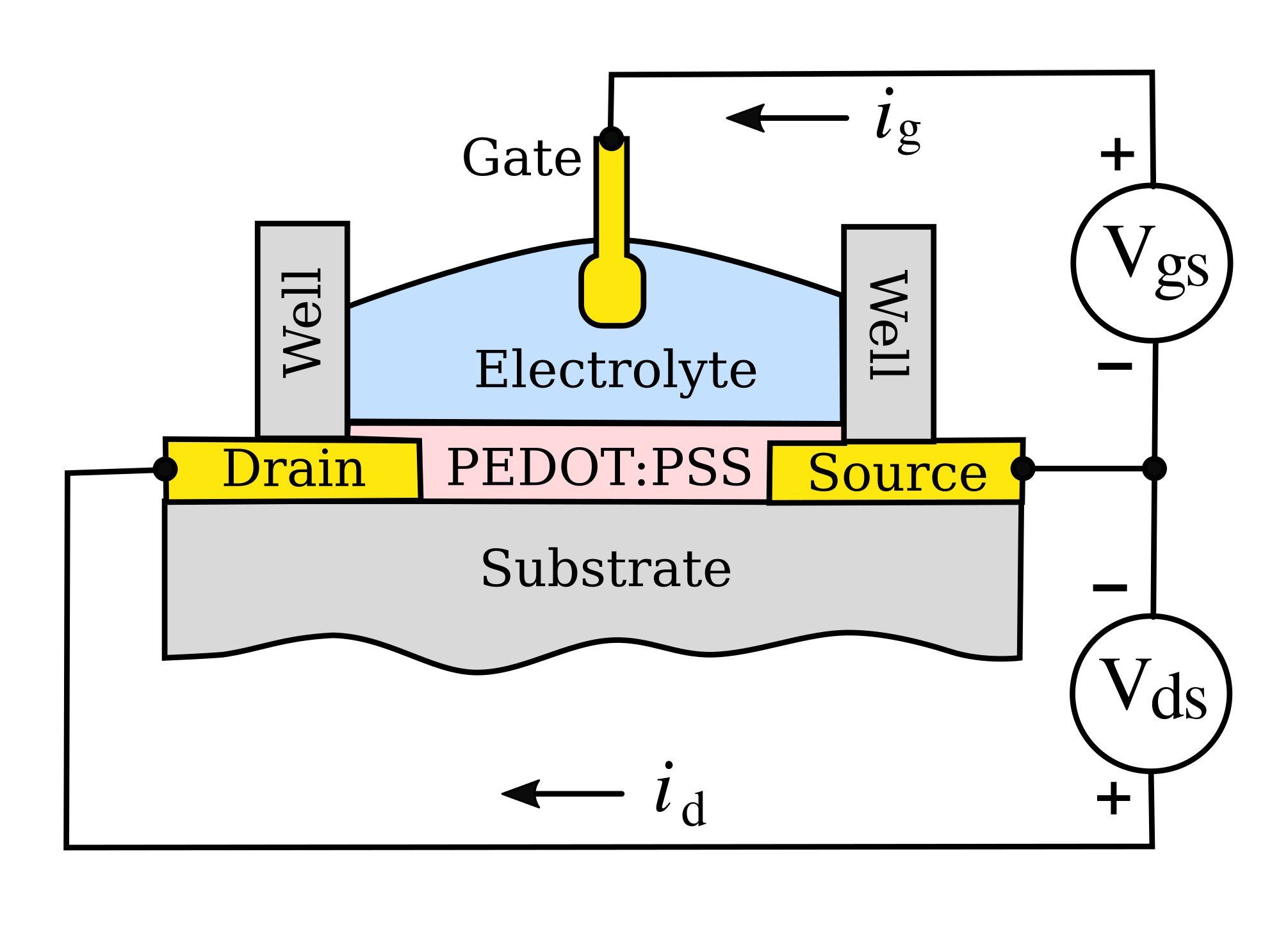 PEDOT:PSS organic electrochemical transistor