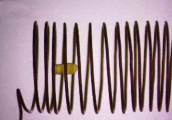 A magnetic droplet propelled through a solenoid coil