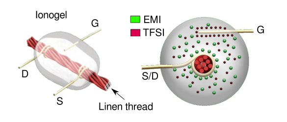 Top and cross-sectional views of the thread based transistor.
