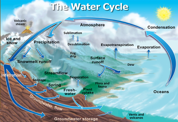 The terrestrial water cycle