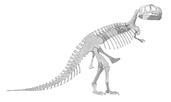 Image by William D. Matthew of the first restoration of a Tyrannosaurus