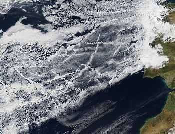 Cloud tracks caused by ship emissions (NASA image)