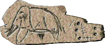Engraving of a mammoth on mammoth ivory, from Upper Paleolithic deposits at Lake Baikal, Siberia (Jos&eacute;-Manuel Benito)