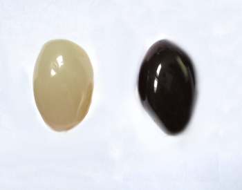 Polished white and black quartz pebbles