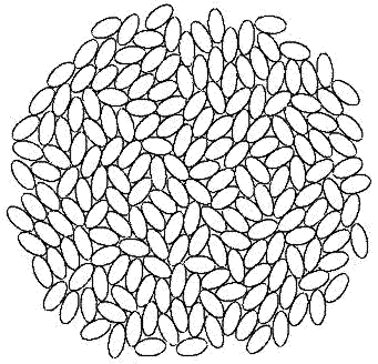 Monte Carlo simulation of packing of hard ellipses