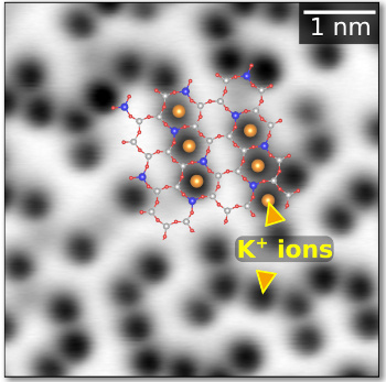 Potassium cations on Muscovite mica surface, imaged by AFM